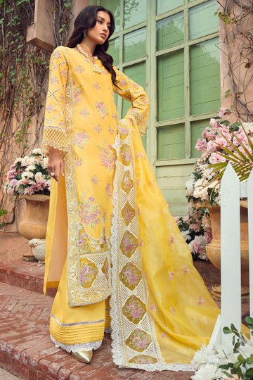 Motifz 4423 Zemal   Online Shopping